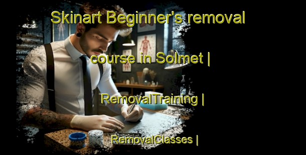 Skinart Beginner's removal course in Solmet | RemovalTraining | RemovalClasses | SkinartTraining-France